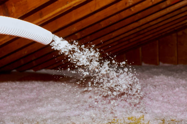 Best Best Insulation Companies  in Nicholson, GA