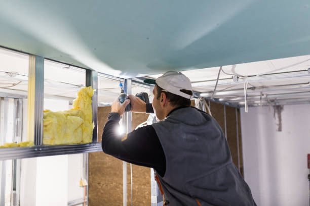 Insulation for New Construction in Nicholson, GA