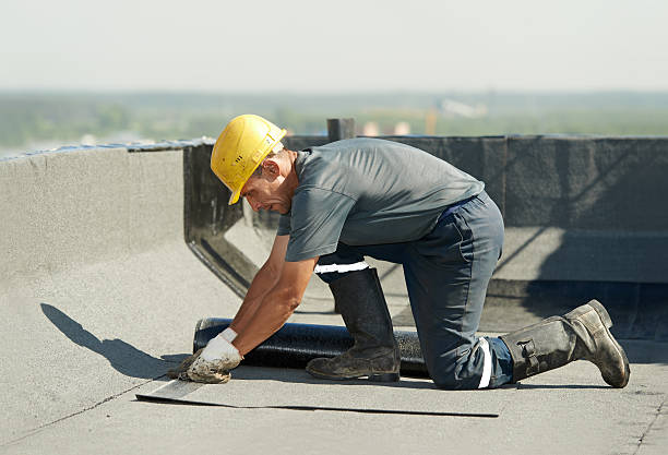 Best Insulation for Commercial Buildings  in Nicholson, GA