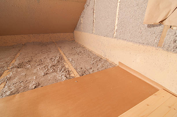 Best Crawl Space Insulation  in Nicholson, GA