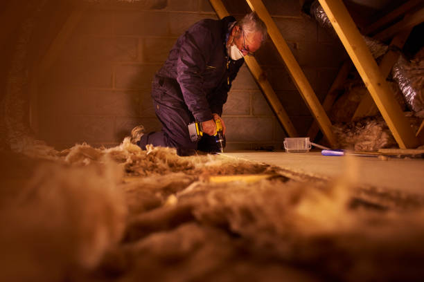 Insulation Repair Services in Nicholson, GA